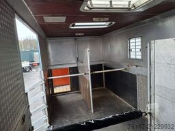 MERCEDES-BENZ 817 L 4 Pferde Laderampe 3-Sitzer AHK