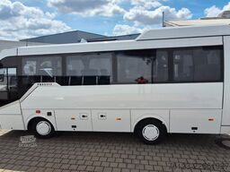 TEMSA 5 units Prestij SX,Novo Lux, Daily, Atego