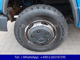 MERCEDES-BENZ Nr.31 Vario 614 D / AHK / SHZ / DoKa 9 Sitzer