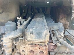 DAF XF 95.530 EURO 4 for Africa. Royal truck!