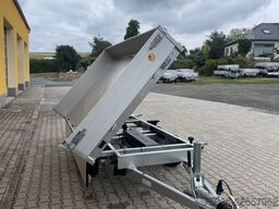 Saris K3 306 170 2700 + Alu-Schienen + E-Pumpe