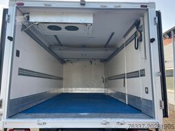 Iveco Daily 70C17 Kühlkoffer CarrierPulsor 600