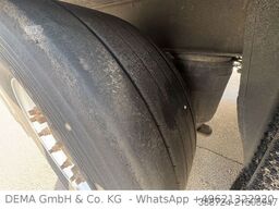 SCHMITZ CARGOBULL SSCBS3B*Rohrbahnen*Palettenkasten*Meet*Fleisch*