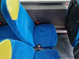 MERCEDES-BENZ Sprinter 516 / 22 Sitzer, Crafter Daily Ducato