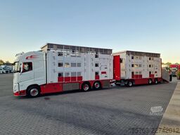 Volvo FH 13.500 XL 6x2 - Pezzaioli livestock 3 deck +...