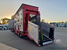 Volvo FH 13.500 XL 6x2 - Pezzaioli livestock 3 deck +...