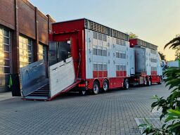 Volvo FH 13.500 XL 6x2 - Pezzaioli livestock 3 deck +...