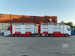 Volvo FH 13.500 XL 6x2 - Pezzaioli livestock 3 deck +...