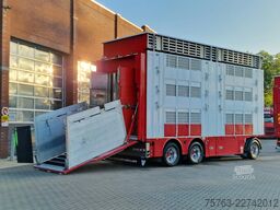Volvo FH 13.500 XL 6x2 - Pezzaioli livestock 3 deck +...