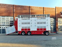 Volvo FH 13.500 XL 6x2 - Pezzaioli livestock 3 deck +...