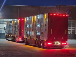 Volvo FH 13.500 XL 6x2 - Pezzaioli livestock 3 deck +...