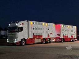 Volvo FH 13.500 XL 6x2 - Pezzaioli livestock 3 deck +...