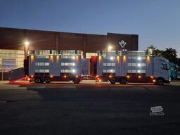 Volvo FH 13.500 XL 6x2 - Pezzaioli livestock 3 deck +...