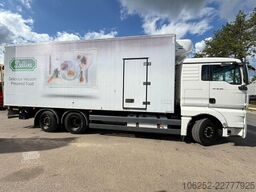 MAN TGX 26.360 6X2 FRIGO THERMOKING T-1200R SPECTRU...