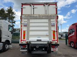 MAN TGX 26.360 6X2 FRIGO THERMOKING T-1200R SPECTRU...