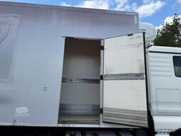 MAN TGX 26.360 6X2 FRIGO THERMOKING T-1200R SPECTRU...