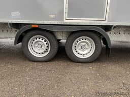 Rosemeier EW TA-NO 4 Damen, 1 Herren + 4 Urinal Toilettenanhänger