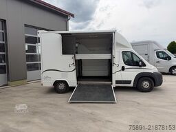 Citroën Pferdetransporter 2 Ride 29.200KM