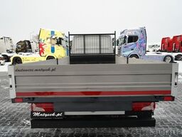 MERCEDES-BENZ SPRINTER  513 CDI / SKRZYNIOWY 4.4 m / MANUAL /