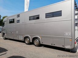 MERCEDES-BENZ Actros 2651 AKX Pop-Out, 6 Pferde