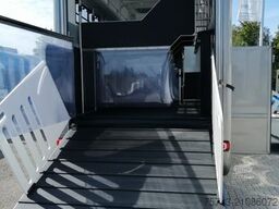 MERCEDES-BENZ Actros 2651 AKX  Pop-Out,  6 Pferde