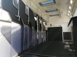 MERCEDES-BENZ Actros 2651 AKX  Pop-Out,  6 Pferde