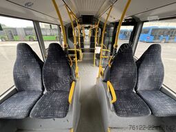 Anemone Trucks Anemone Trucks Anemone Trucks