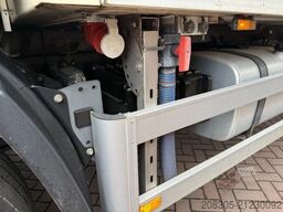 DAF CF 250 CF250 4X2 Kuhlkoffer / Thermoking / TUV 6