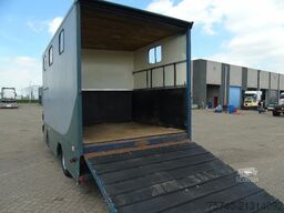 MAN 10 .150 + 2-3 HORSES + MANUAL