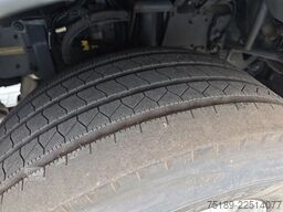 DAF XF 480 4x2 + FVG FS