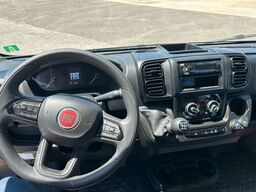 Fiat Ducato Weinsberg Carabus 600 K | 2023 | EURO6 | Professioneller Verkäufer