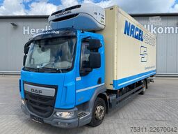 DAF LF 230 | Thermo-King T-800R*Diesel/Netz*Rolltor