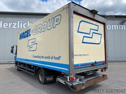 DAF LF 230 | Thermo-King T-800R*Diesel/Netz*Rolltor