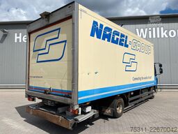 DAF LF 230 | Thermo-King T-800R*Diesel/Netz*Rolltor