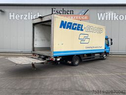 DAF LF 230 | Thermo-King T-800R*Diesel/Netz*Rolltor