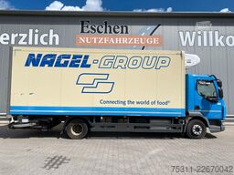 DAF LF 230 | Thermo-King T-800R*Diesel/Netz*Rolltor