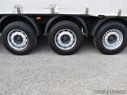 SCHWARZMÜLLER SPA 3/E Edscha Curtain LBW