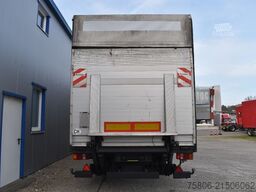 SCHWARZMÜLLER SPA 3/E Edscha Curtain LBW