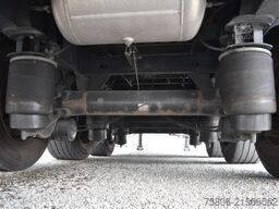 SCHWARZMÜLLER SPA 3/E Edscha Curtain LBW