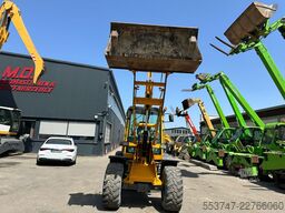 Terex TL 80 / SW