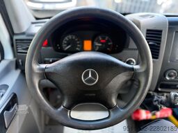 MERCEDES-BENZ Sprinter 313 CDi Flexi Trans Rollstuhl 95KW Eur5