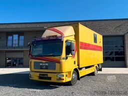 MAN TGL 10.180 Euro 4  Pferdetransporter Horse