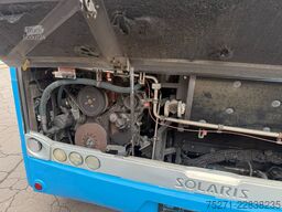 SOLARIS Urbino 12