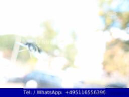 FORD Nr.55 Transit 1.Hand / Kamera / Touch