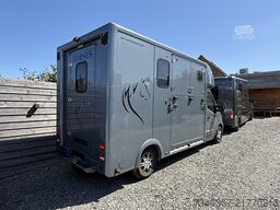 Renault Master | HORSETRUCK | HTI | STALLION 3XL | 2017...