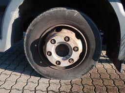 MAN MAN TGL 8.180 / Koffer / 1 Hand / LBW /FN:244