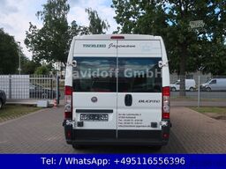 FIAT NrA107 Ducato L4 2.Hand / MAXI / 3 Sitzer
