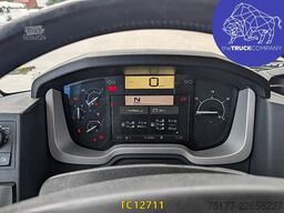 Renault T 480