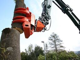 WesttecH Westtech CS780 / Greifersäge / Fällkopf / sofort