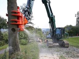 WesttecH Westtech CS780 / Greifersäge / Fällkopf / sofort